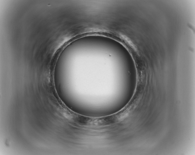 X0000099471165200805091541