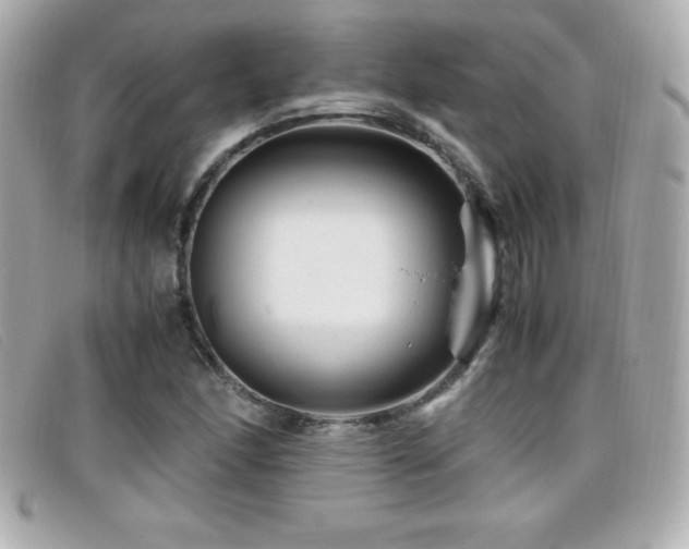 X0000099471166200805091541