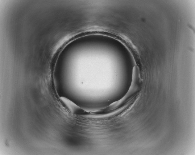 X0000099471167200805091541