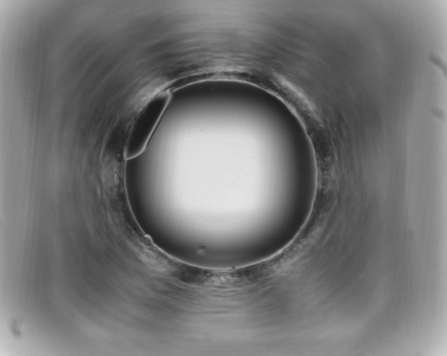 X0000099471169200805091541