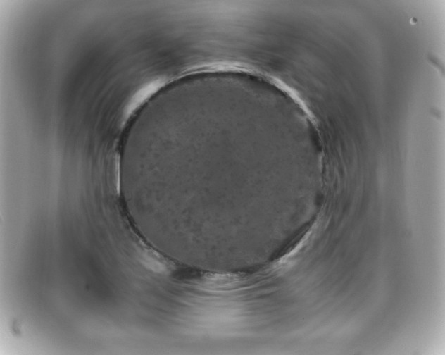 X0000099471171200805091541