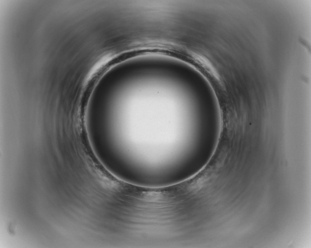 X0000099471172200805091541