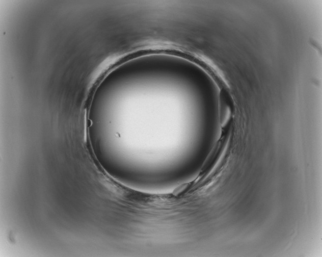X0000099471175200805091541