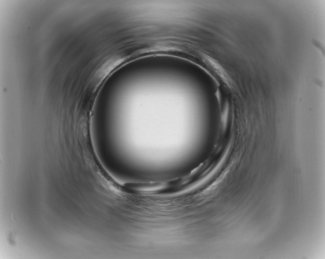 X0000099471177200805091541