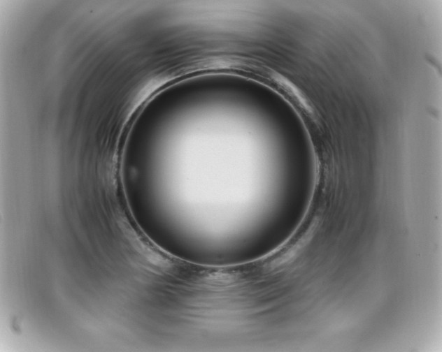 X0000099471178200805091541