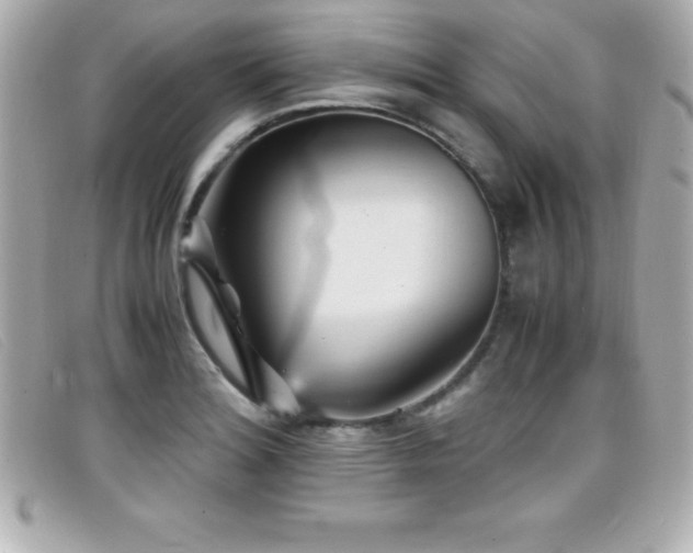 X0000099471180200805091541