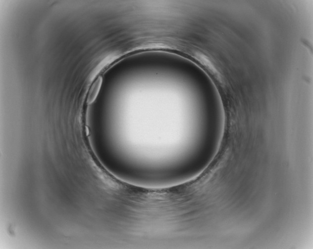 X0000099471181200805091541