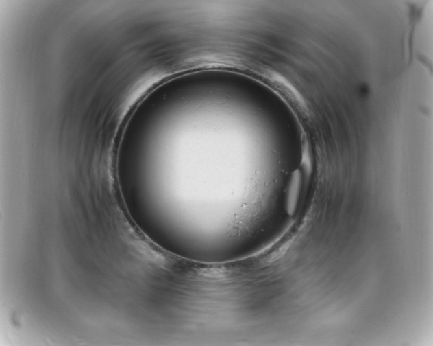 X0000099471182200805091541