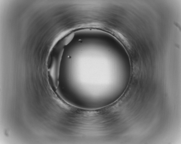 X0000099471184200805091541