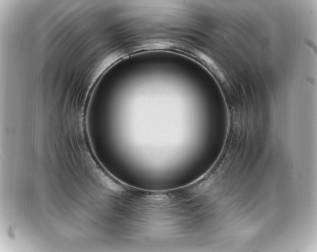 X0000099471186200805091541