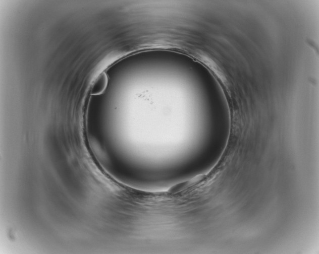 X0000099471187200805091541