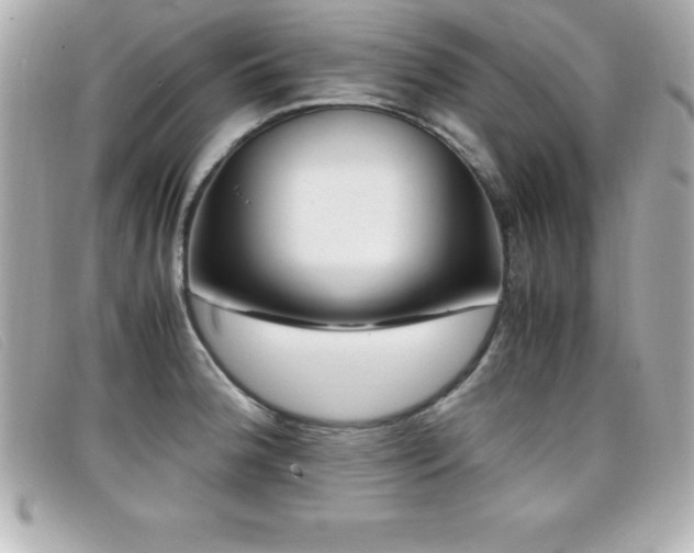 X0000099471188200805091541