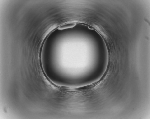 X0000099471189200805091541