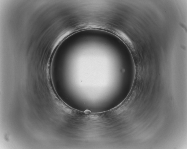 X0000099471190200805091541