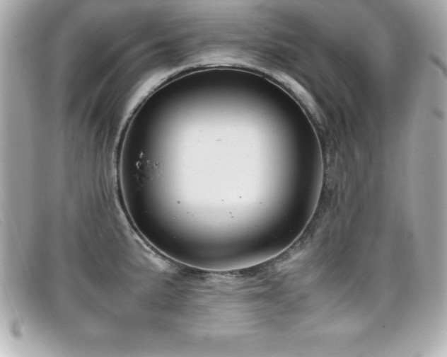 X0000099471191200805091541