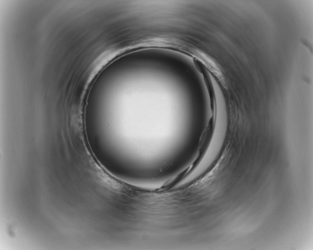 X0000099471192200805091541