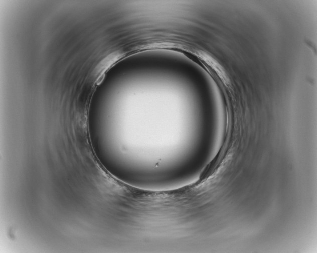 X0000099471193200805091540