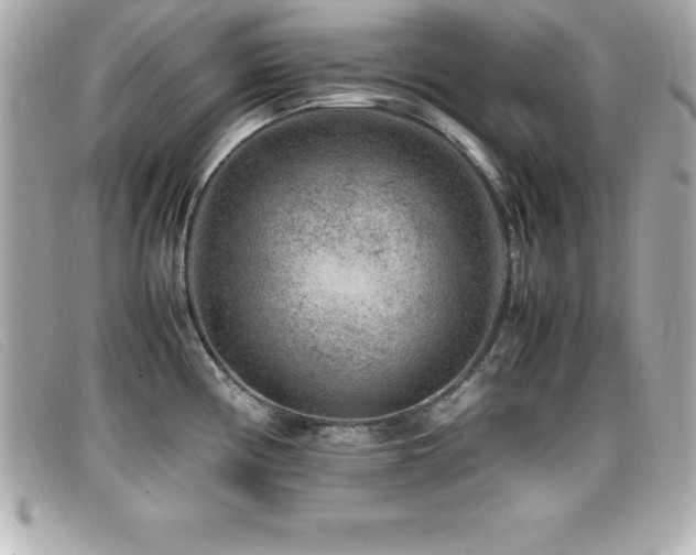 X0000099471194200805091540