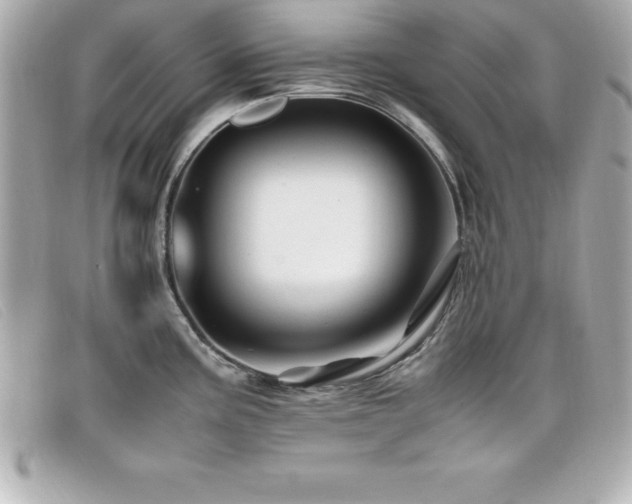X0000099471195200805091540