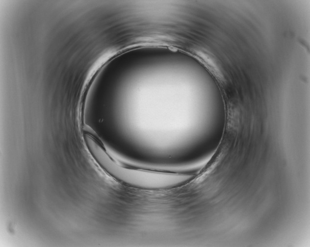 X0000099471196200805091540