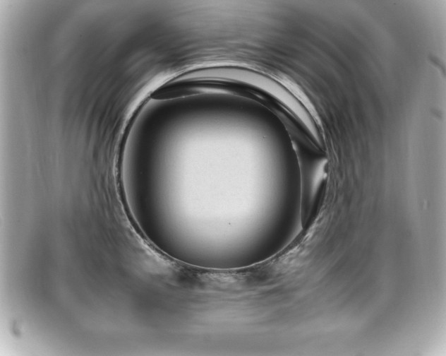 X0000099471197200805091540