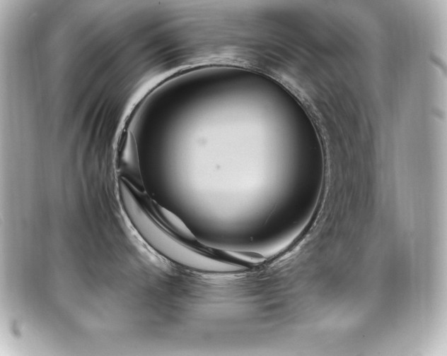 X0000099471200200805091540
