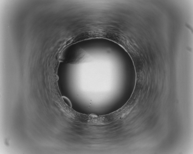 X0000099471201200805091540