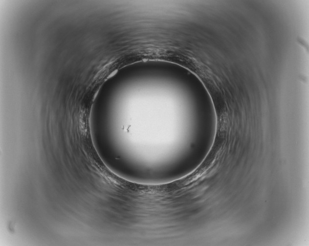 X0000099471202200805091540
