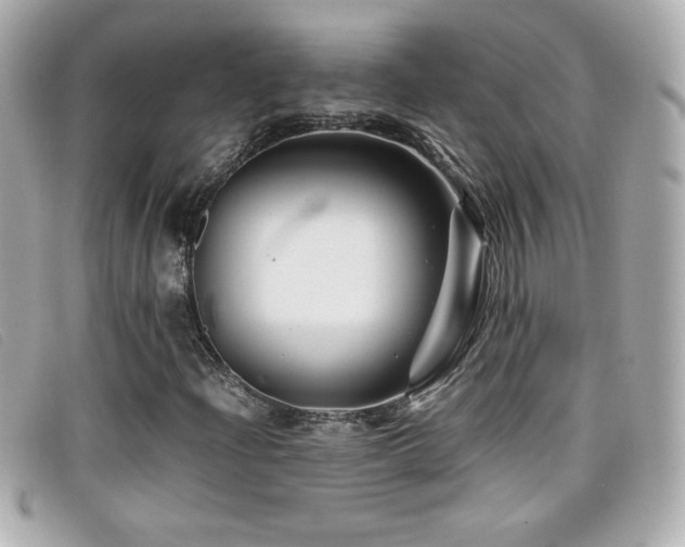 X0000099471204200805091540