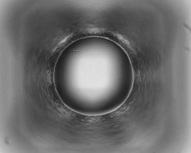 X0000099471205200805091540