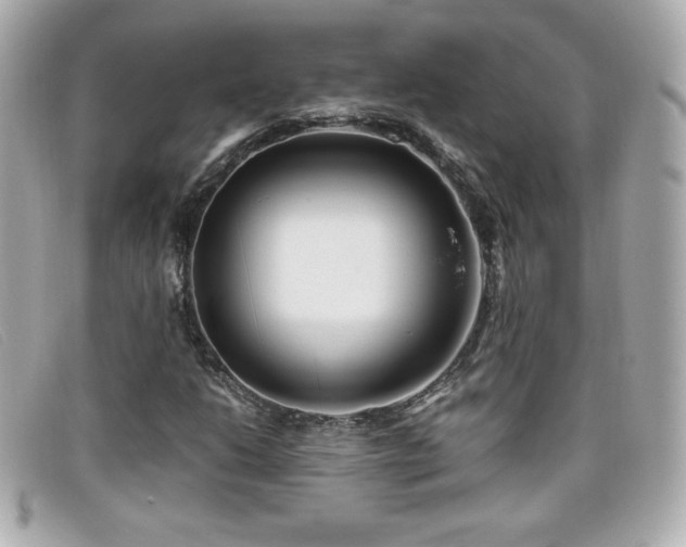 X0000099471206200805091540