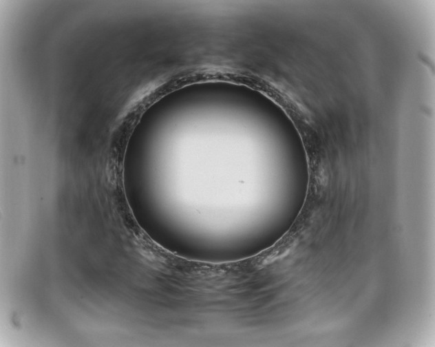 X0000099471207200805091540