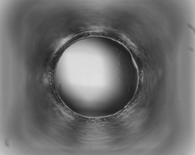 X0000099471208200805091540
