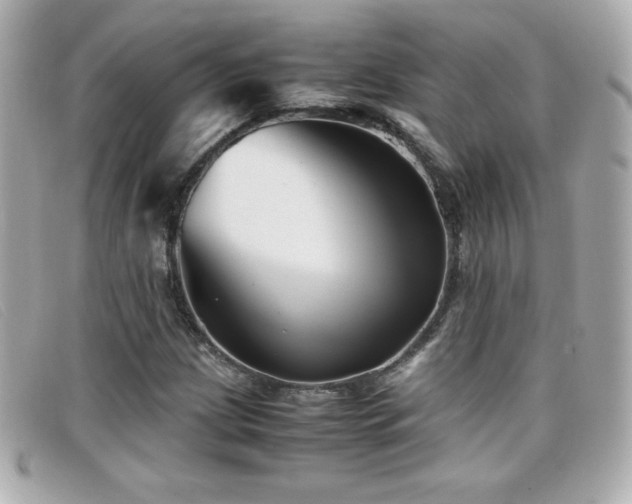 X0000099471209200805091540