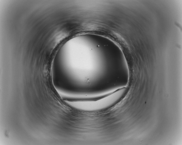 X0000099471210200805091540