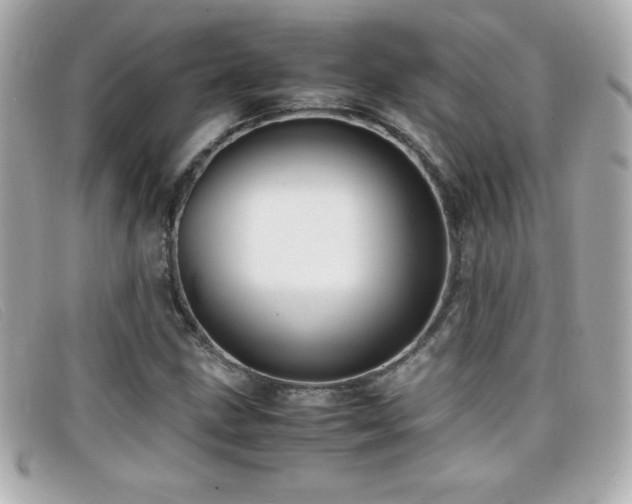 X0000099471211200805091540