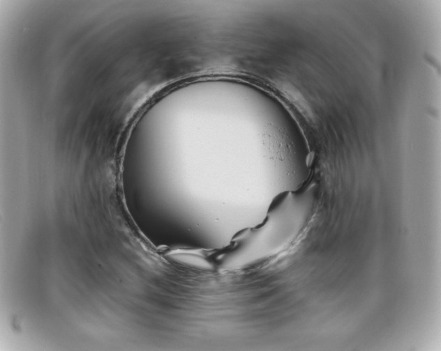 X0000099471212200805091540