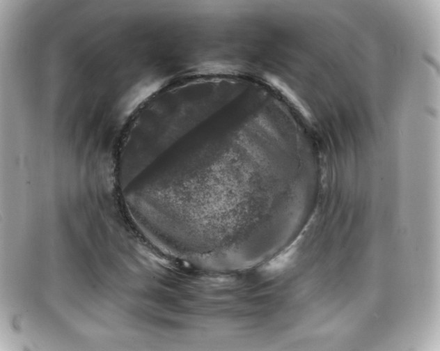 X0000099471213200805091540