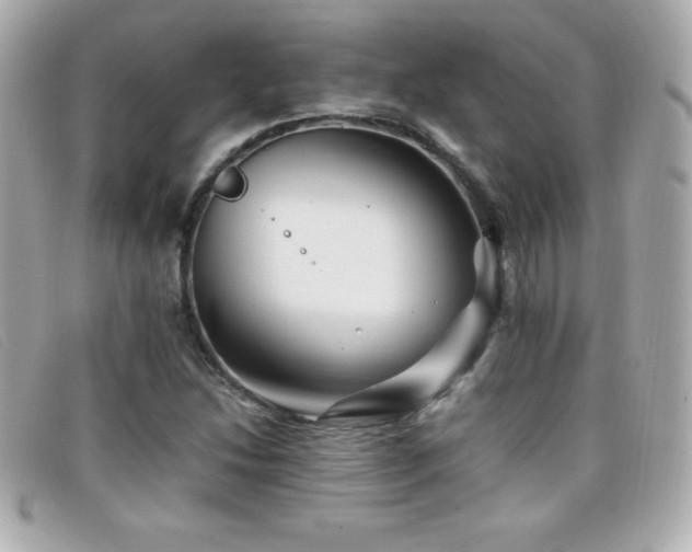 X0000099471214200805091540