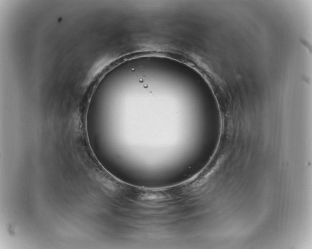 X0000099471215200805091540