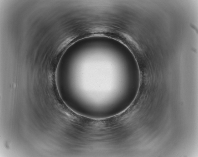 X0000099471217200805091540