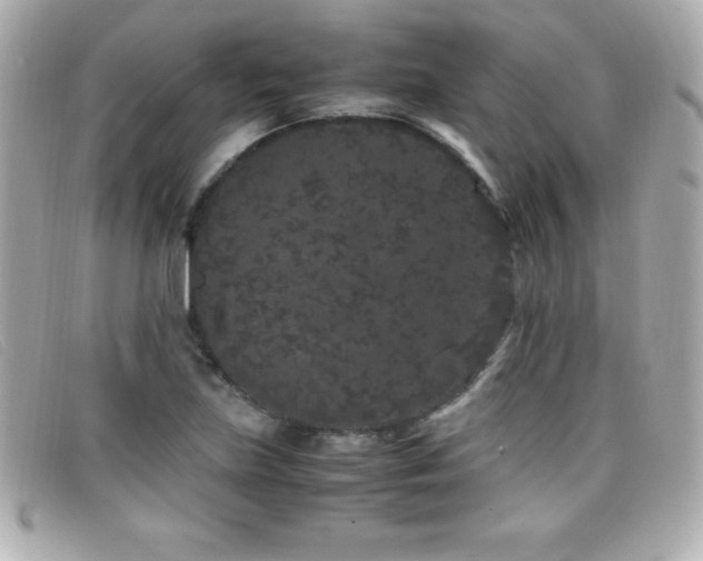 X0000099471219200805091540