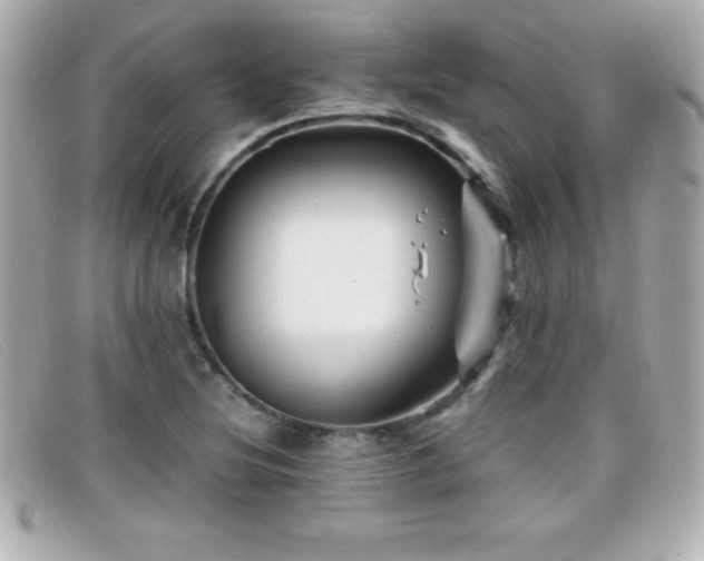 X0000099471220200805091540