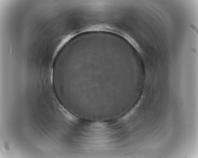 X0000099471224200805091540