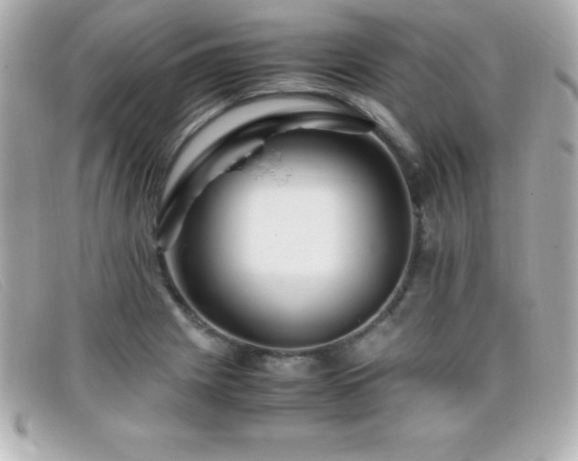 X0000099471225200805091540