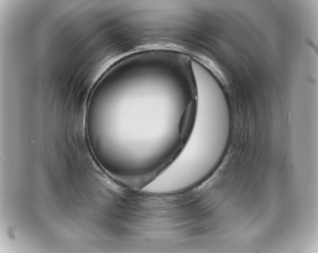 X0000099471228200805091540