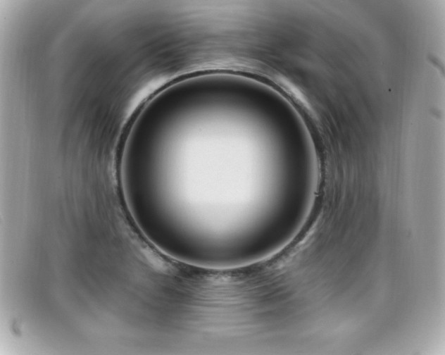 X0000099471230200805091540