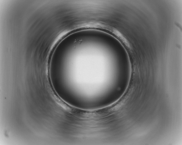X0000099471232200805091540