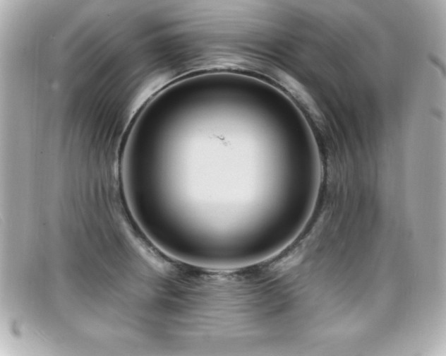 X0000099471234200805091540
