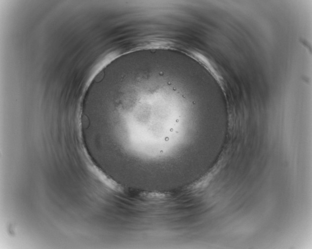 X0000099471235200805091540